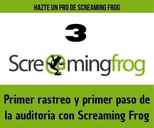 primer rastreo y primer paso de la auditoria con screaming frog